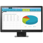 HP PRO Display P203 20-inch Monitor